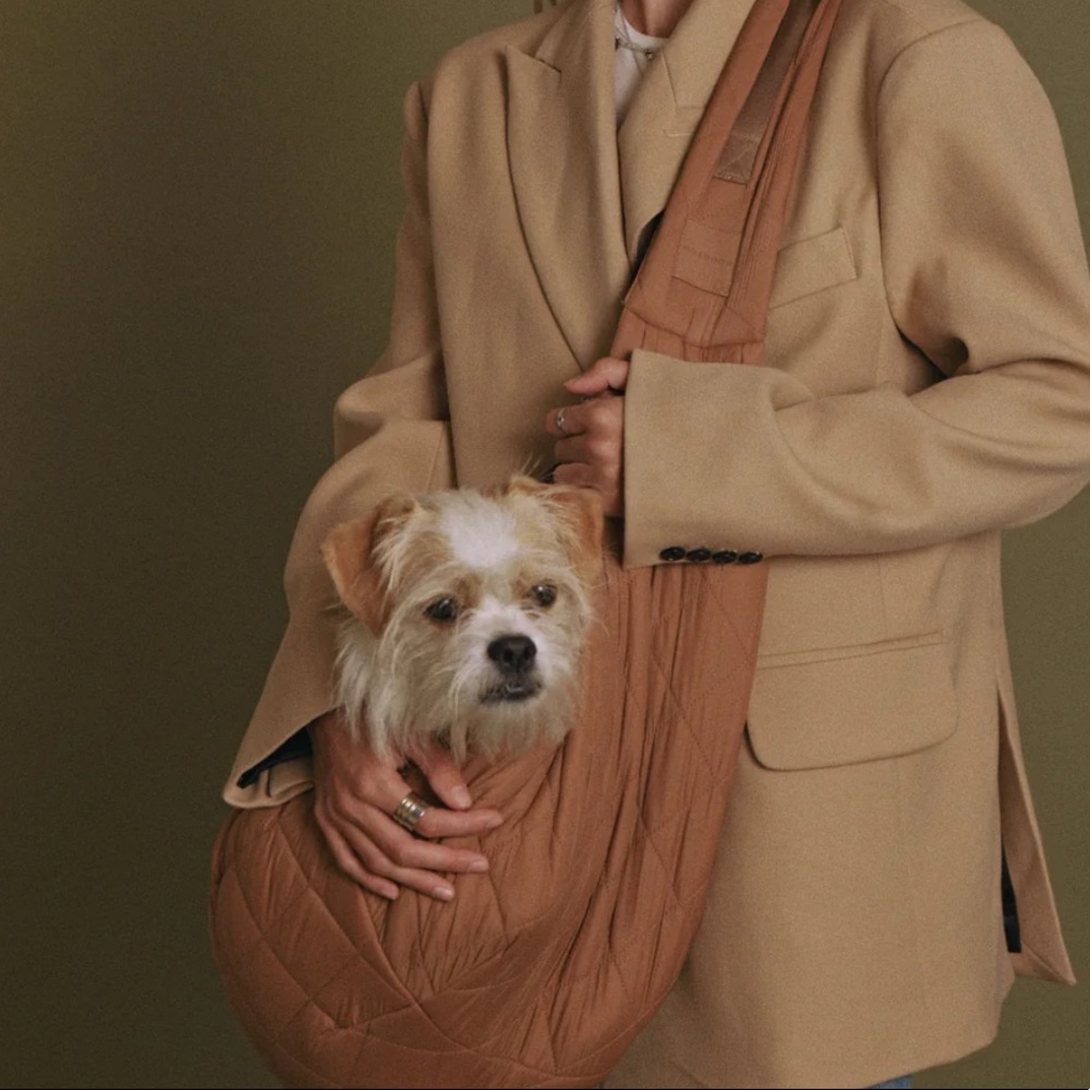 Maxbone dog carrier - NEVER USED